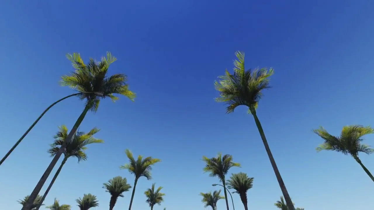 Review: Best Coast - 'California Nights' | NBHAP
