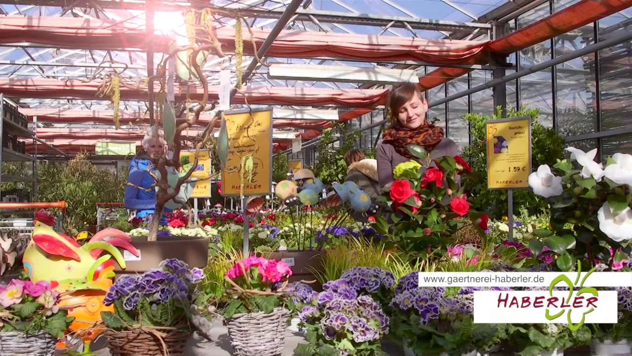 Blumen und Garten Haberler 20 Sekunden on Vimeo