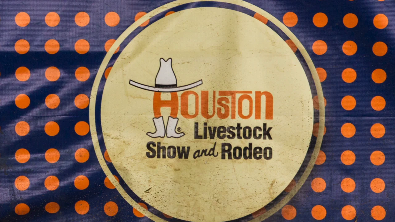 Mutton Bustin Houston Rodeo 2015 on Vimeo