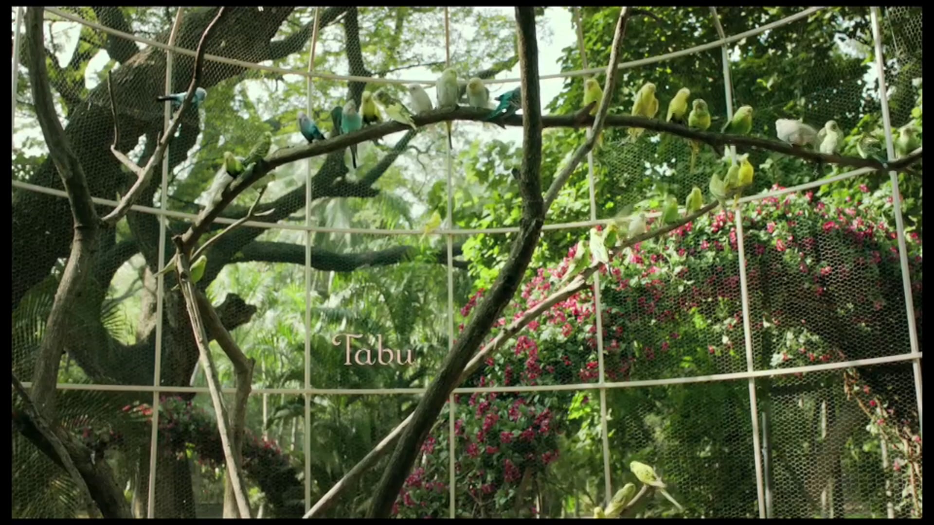 Life of Pi - opening - Scoring by Mitch