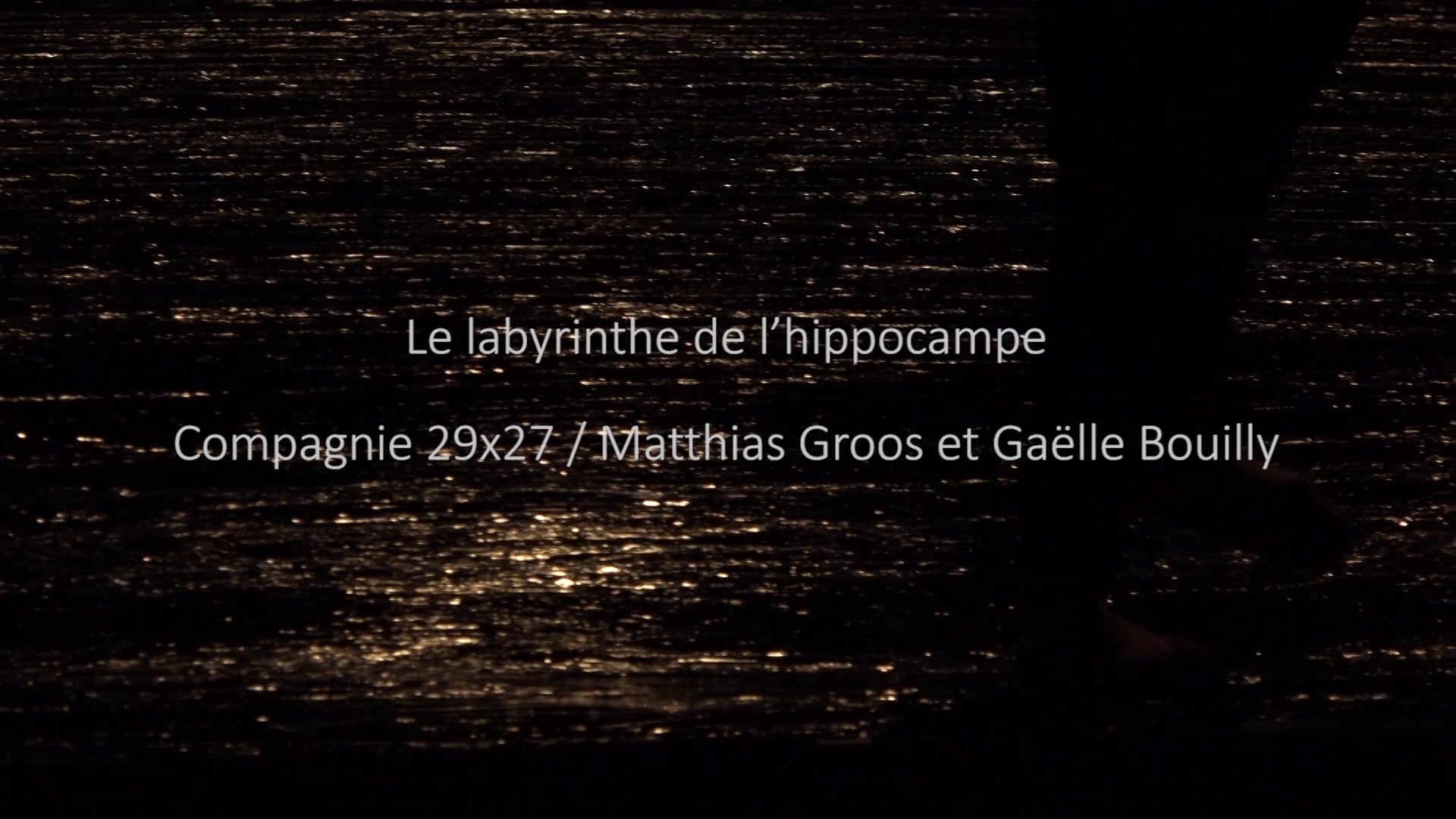 Le labyrinthe de l'hippocampe