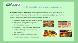 Conferències: Nutrició i càncer