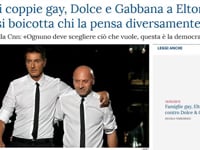 FIGLI AI GAY, PRO O CONTRO D&G?
