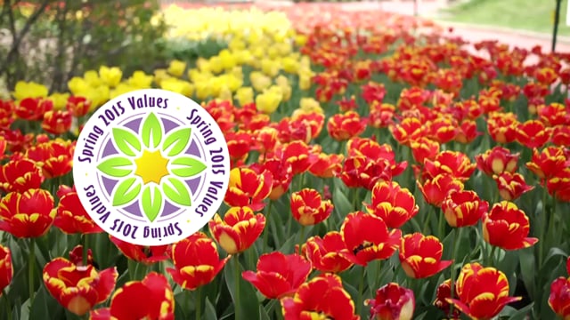 Oglebay Resort- Spring Values 2015