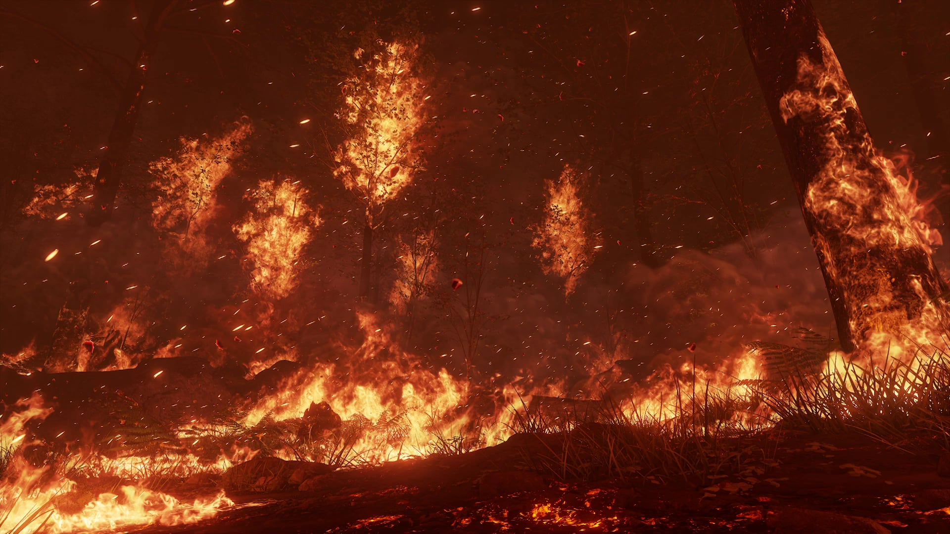 Fire Elemental Unreal engine. Fire CR снимки. Огонь 4к. Fire SFX ue4.