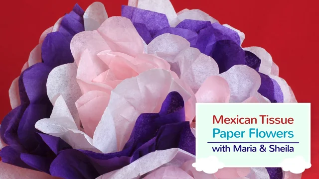 Mexican Paper Flowers - Marias Place