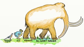 How to Clone a Mammoth