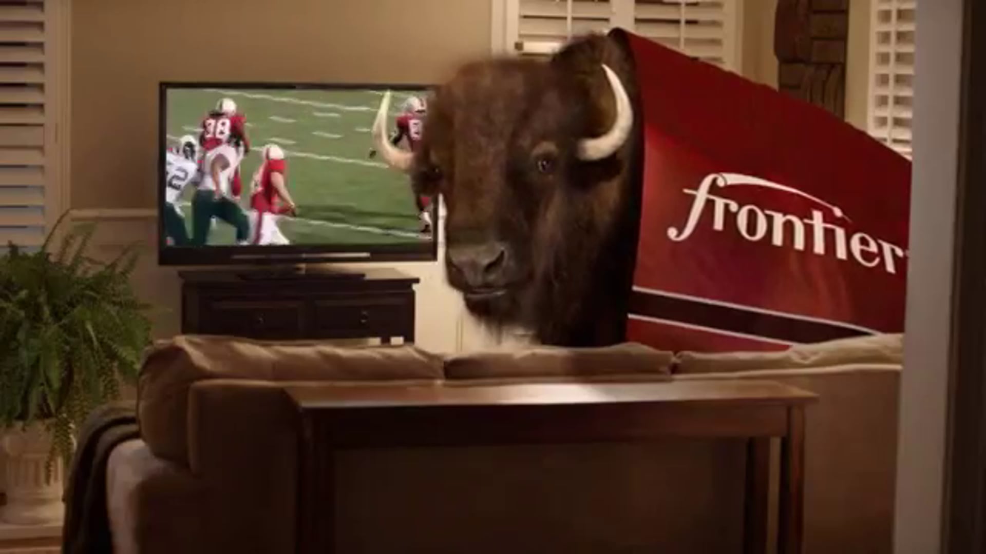 Frank the Buffalo, Frontier Q4 TV