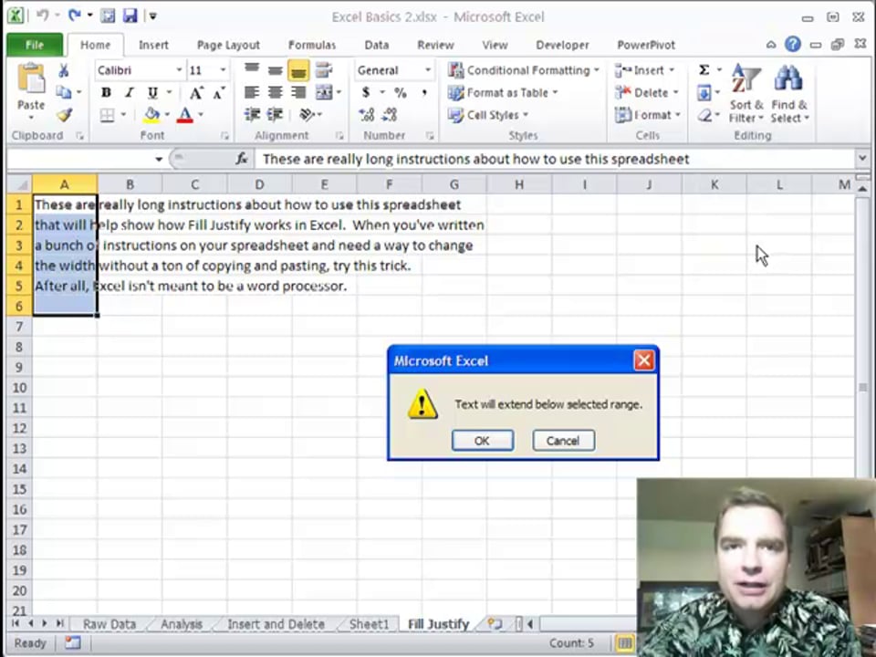 Excel Video 260 Use Fill Justify to Manage Text