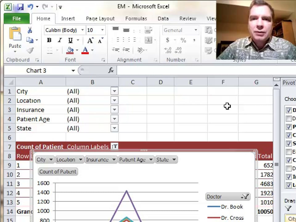 Excel Video 330 Create a Pivot Chart from Scratch