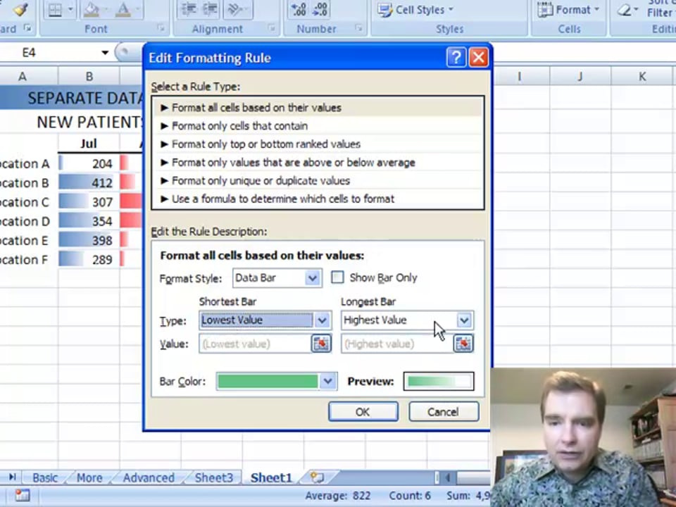 Excel Video 48 Data Bars