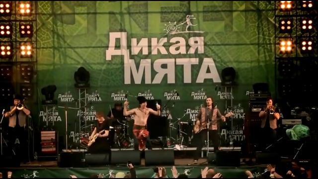 Дикая Мята 2012