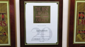 2. The Lawyer and his Hot Dog - FINAL 2015