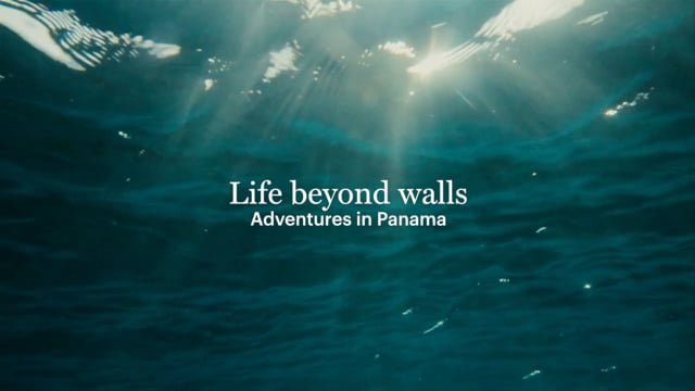 Life Beyond Walls Panama from smith optics