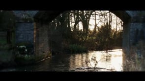 Black water, golden sky