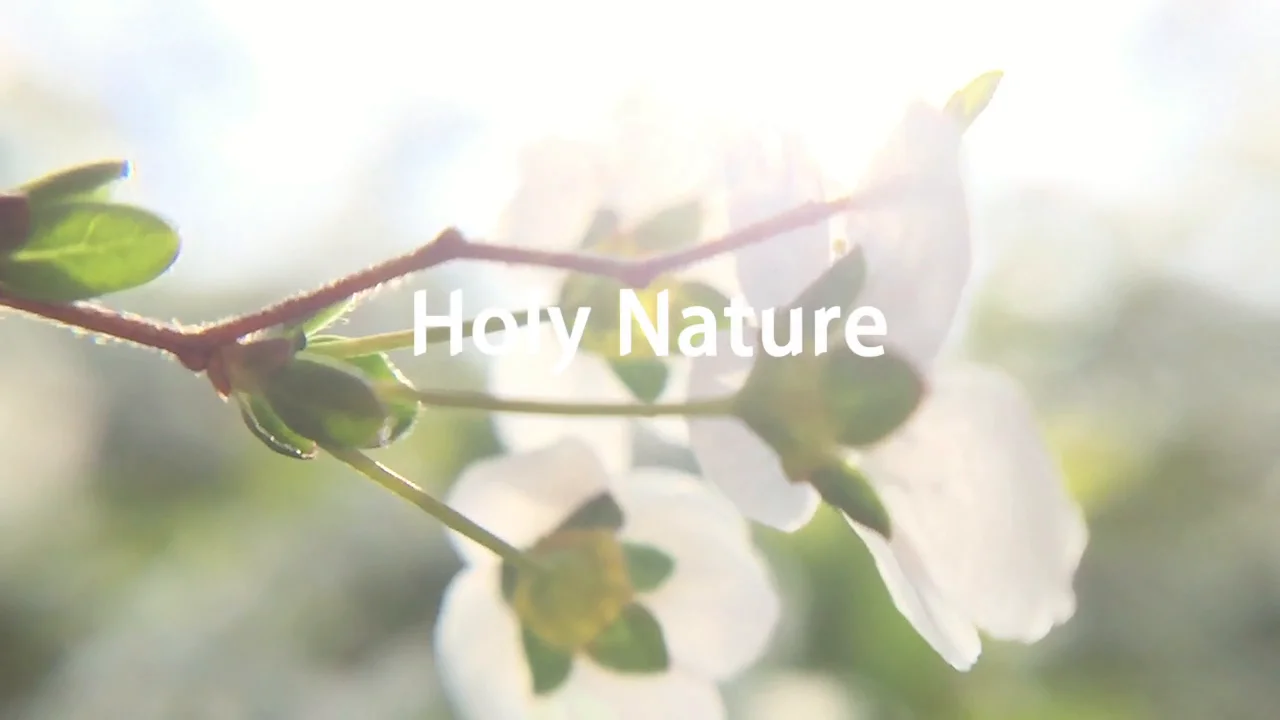 Holy Nature － Spring Days 2