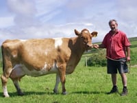 Harry's Story- dairy farming through the generations