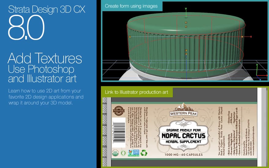 Strata Design 3D CX 8: First Project: Step 2