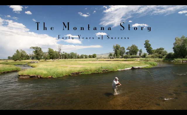 36 Best Places to Fly Fish in Montana: Map & Guide