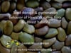 2015_04: Lauren Weisenberger "Seed storage and germination behavior of Hawai'i's native flora: dry forest habitats"