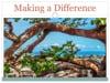 2015_05: Beverley Brand " Waikoloa Dry Forest Preserve - Making a Difference"