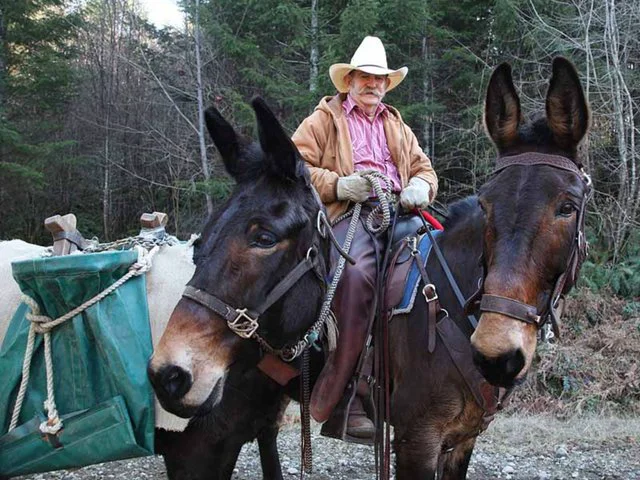 History Back Country Horsemen of Washington