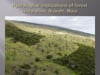 2015_07: Erica von Allmen: "Hydrological implications of forest restoration, Auwahi, Maui"