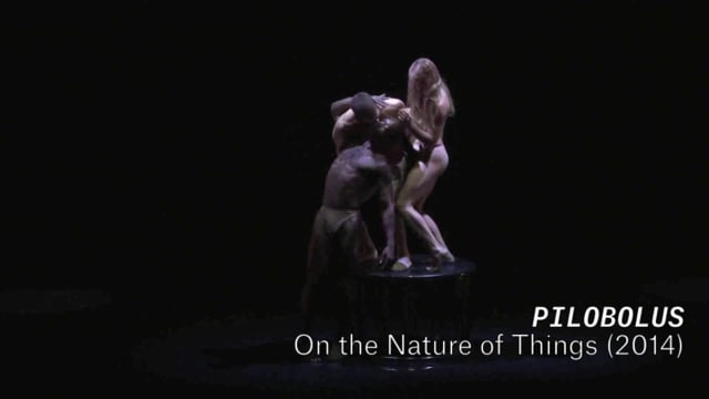 Pilobolus On the Nature of Things