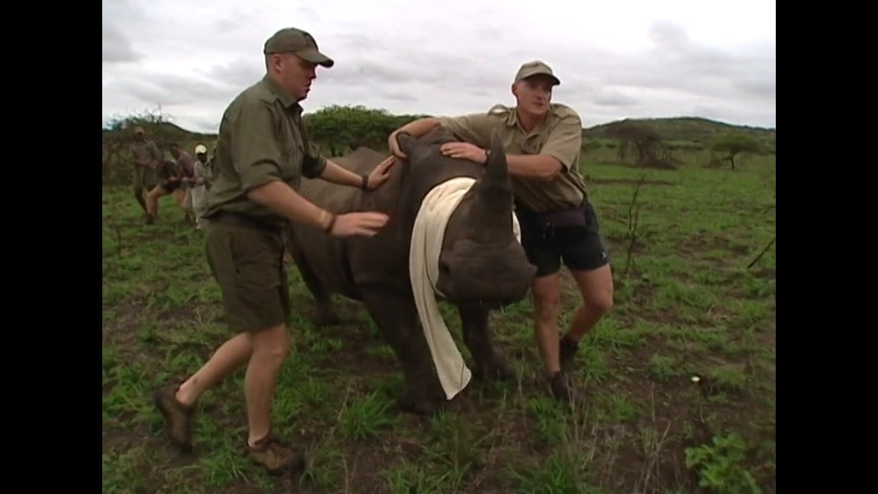 South Africa 2009 - Rhino Conservation