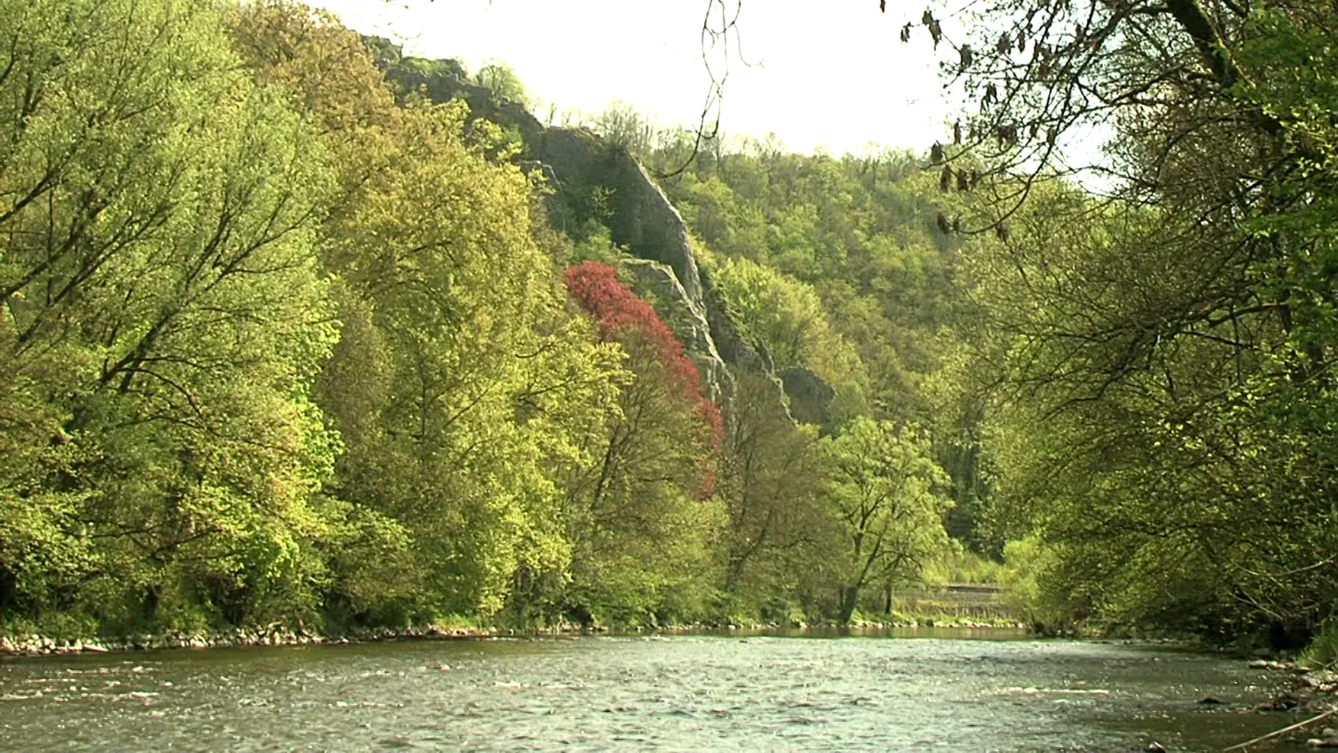 Maison Wallonne de la Pêche