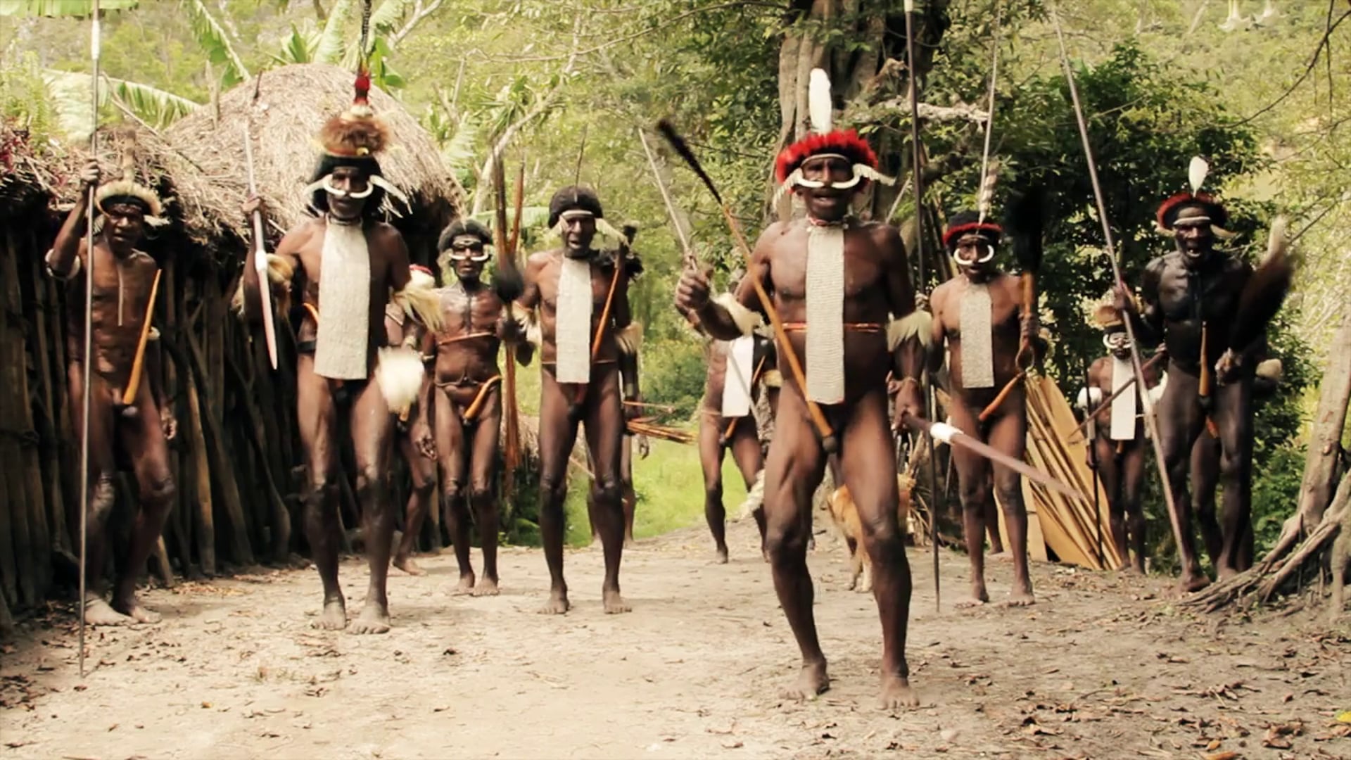 Paganel in Papua