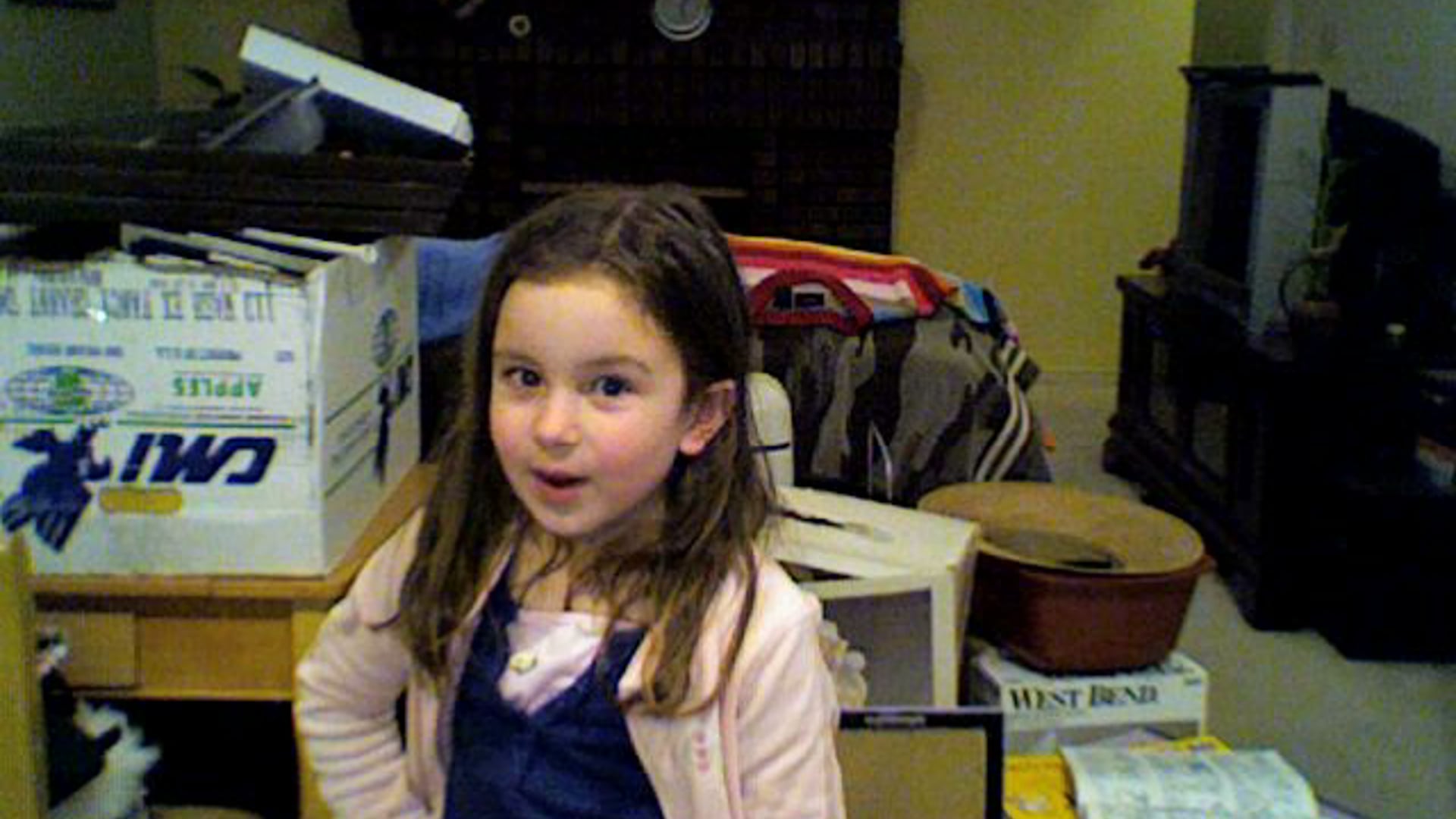 Calvin and Hobbes - The Cookie Jar