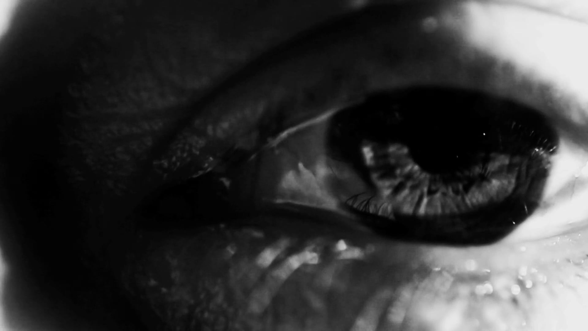 BLAUMAR - shortfilm by Helher Escribano