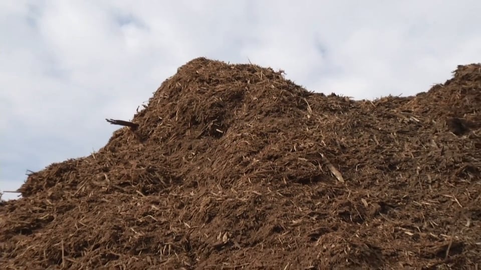 Tips from Toby – Time for Mulch