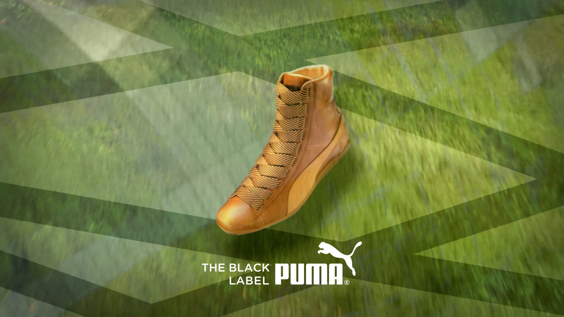 Puma black label sale