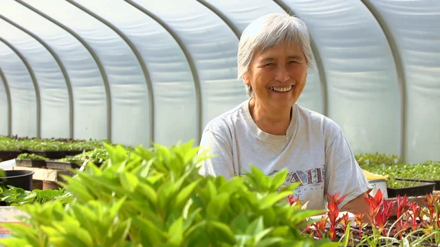 50 Years of Farming For Love Vegetables