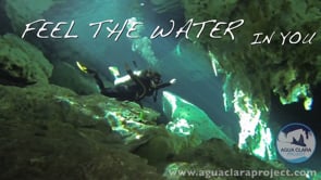 Scuba Diving, Snorkeling and Eco Tours in Tulum, Mexico- Agua Clara Project