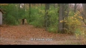 vignette de 2004 - Ma vie en cinmascope