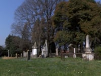 VICENZA – CHE FINE FANNO I CINESI?