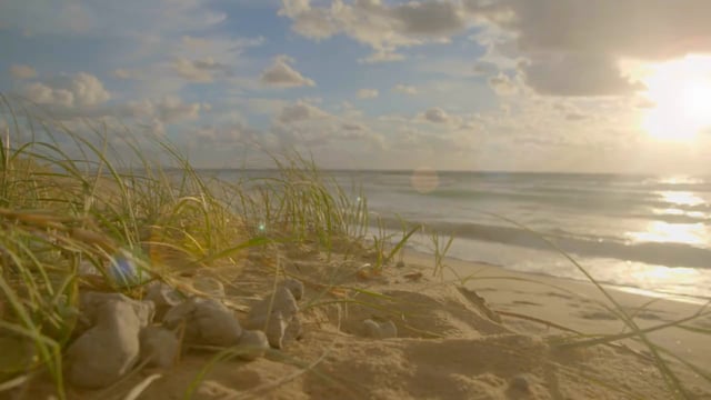 Palmer Coolum Resort - Customer Success Story