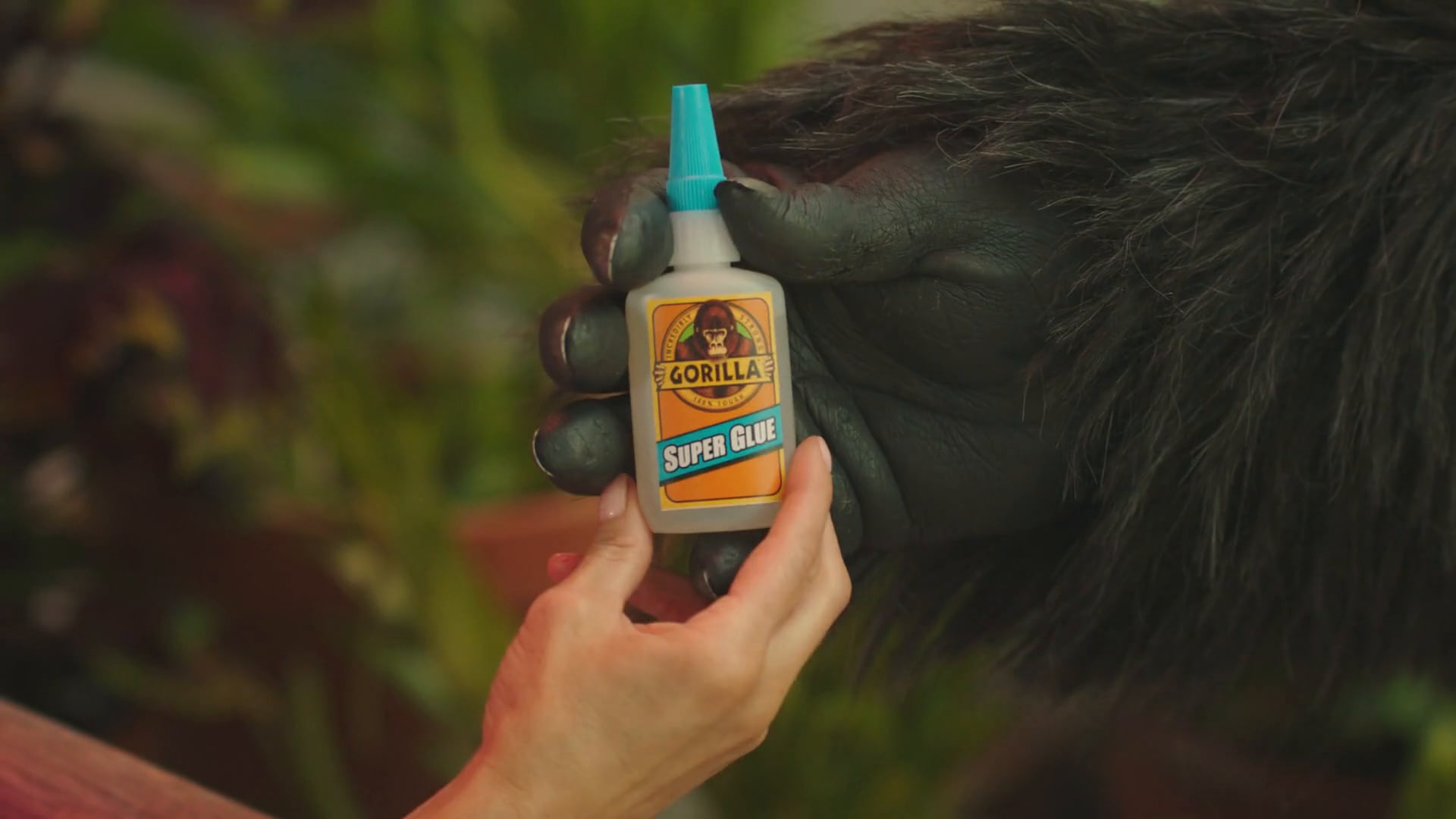 (GG1405) Gorilla Super Glue "Glasses" 30 on Vimeo