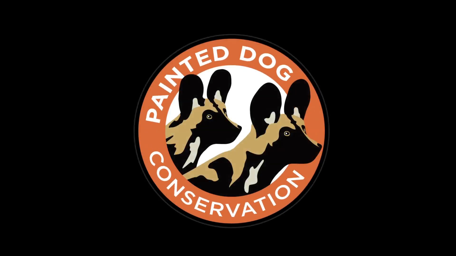 Painted Dog Conservation