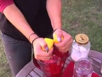 Lizzie Armanto Makes Lemonade