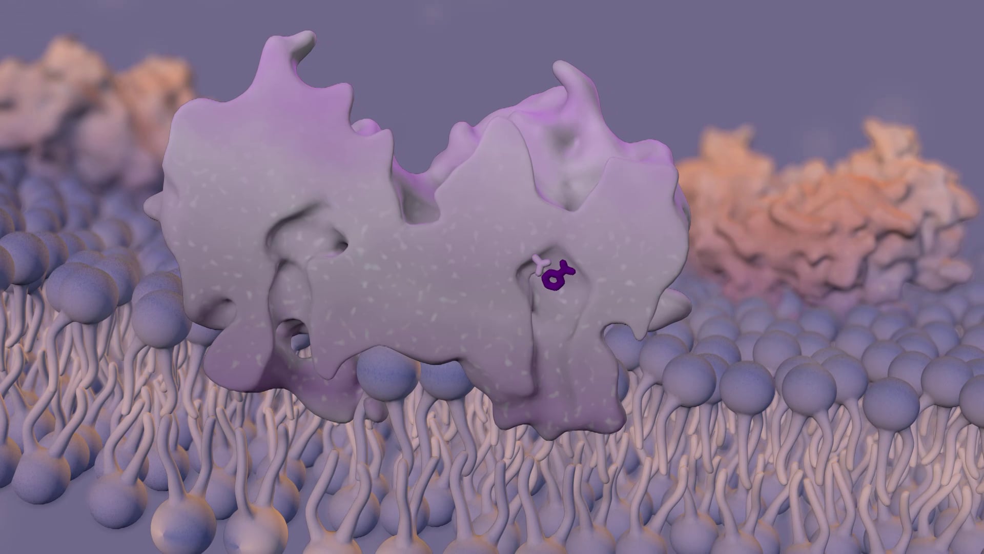 Aspirin/Ibuprofen Interactions © 2014 on Vimeo
