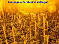 ESCLUSIVO – LA CASA DELLA DROGA DI CHIAMPO (VIDEO)