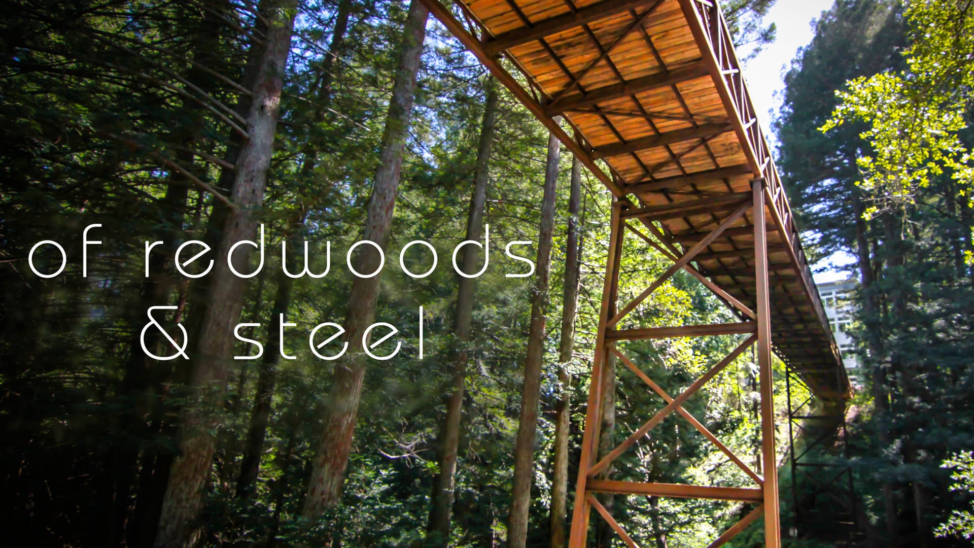 Of Redwood & Steel