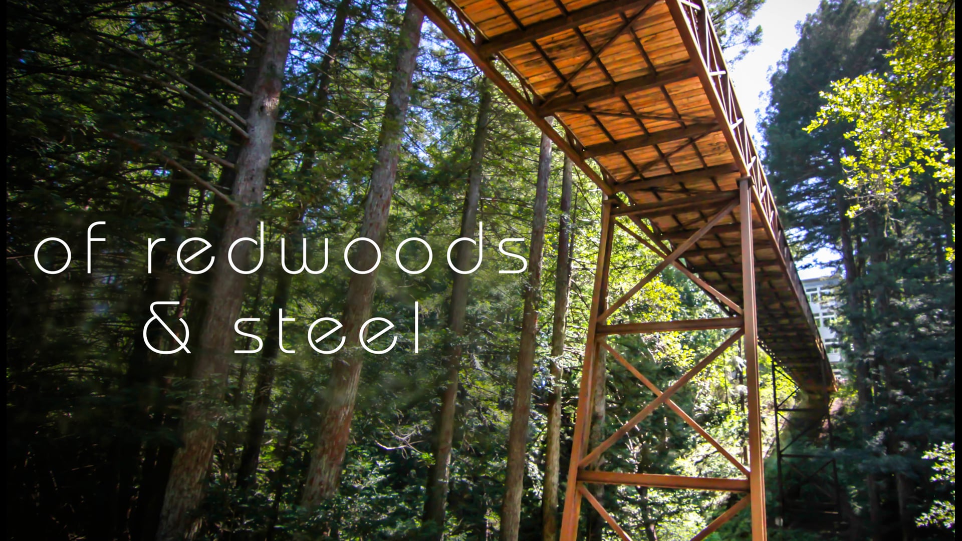 Of Redwood & Steel