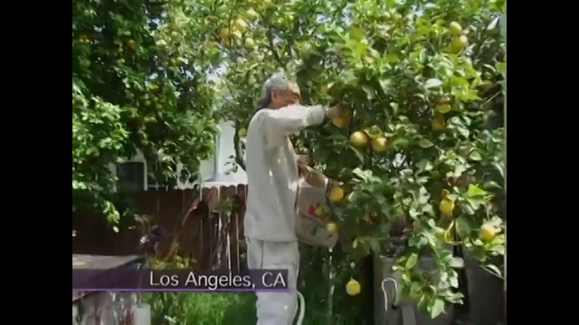 Aging in a Safe Environment