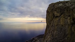 Вингсьют, Куш-Кая, Крым