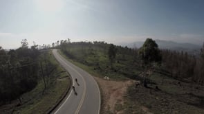 bikes
